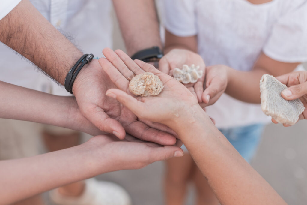 shells on the beach, family Portrait