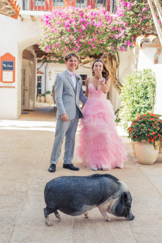 High school seniors with a pig on Worth Avenue in Palm Beach, Florida